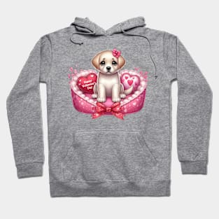 Valentine Labrador Retriever Dog in Bed Hoodie